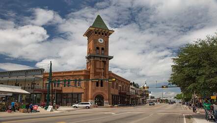 Grapevine