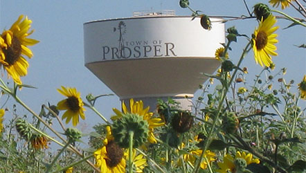 Prosper